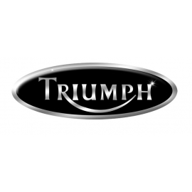 TRIUMPH Filtros Sustitucion Pipercross