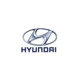 Hyundai Hel Performance