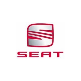 SEAT Invidia Exhaust
