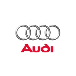 AUDI Filtros Sustitucion Pipercross