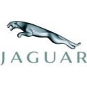 Jaguar Hel Performance