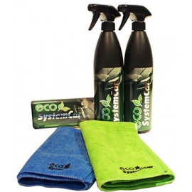 ecoSystemCar