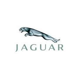 McGard JAGUAR